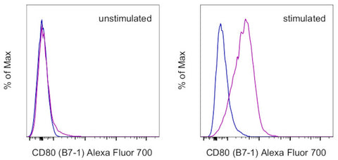 CD80 (B7-1) Monoclonal Antibody (16-10A1), Alexa Fluor 700, eBioscience