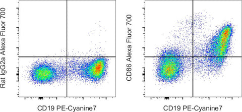 CD86 (B7-2) Monoclonal Antibody (GL1), Alexa Fluor 700, eBioscience
