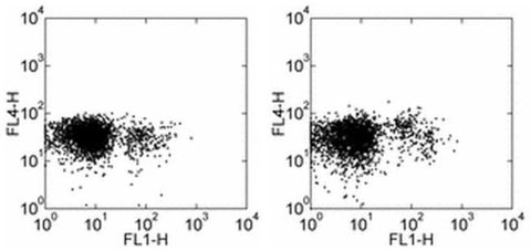 CD127 Monoclonal Antibody (A7R34), Alexa Fluor 700, eBioscience