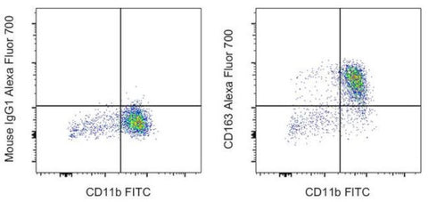 CD163 Monoclonal Antibody (eBioGHI/61 (GHI/61)), Alexa Fluor 700, eBioscience