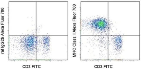 MHC Class II (I-A/I-E) Monoclonal Antibody (M5/114.15.2), Alexa Fluor 700, eBioscience