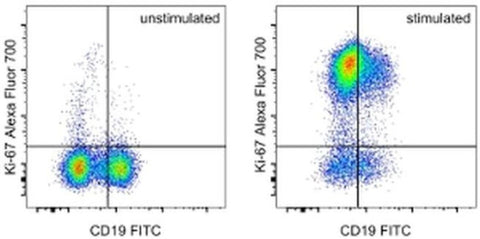 Ki-67 Monoclonal Antibody (SolA15), Alexa Fluor 700, eBioscience