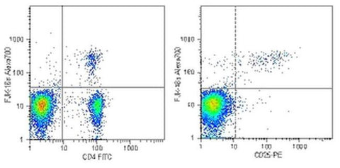 FOXP3 Monoclonal Antibody (FJK-16s), Alexa Fluor 700, eBioscience