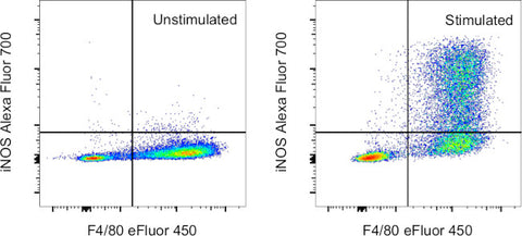 iNOS Monoclonal Antibody (CXNFT), Alexa Fluor 700, eBioscience
