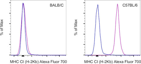 MHC Class I (H-2Kb) Monoclonal Antibody (AF6-88.5.5.3), Alexa Fluor 700, eBioscience