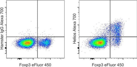 HELIOS Monoclonal Antibody (22F6), Alexa Fluor 700, eBioscience
