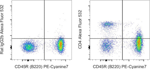 CD4 Monoclonal Antibody (GK1.5), Alexa Fluor 532, eBioscience