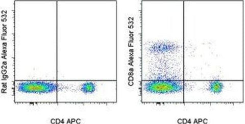 CD8a Monoclonal Antibody (53-6.7), Alexa Fluor 532, eBioscience