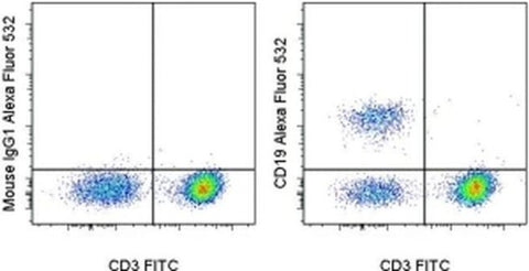 CD19 Monoclonal Antibody (SJ25C1), Alexa Fluor 532, eBioscience