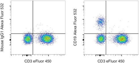 CD19 Monoclonal Antibody (HIB19), Alexa Fluor 532, eBioscience