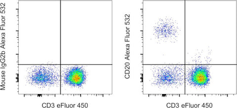 CD20 Monoclonal Antibody (2H7), Alexa Fluor 532, eBioscience