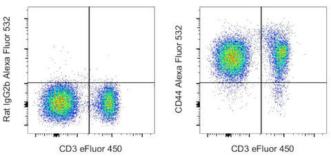 CD44 Monoclonal Antibody (IM7), Alexa Fluor 532, eBioscience
