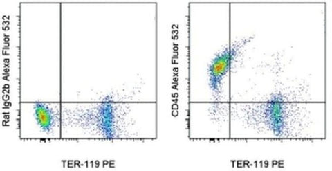 CD45 Monoclonal Antibody (30-F11), Alexa Fluor 532, eBioscience