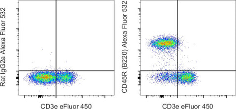 CD45R (B220) Monoclonal Antibody (RA3-6B2), Alexa Fluor 532, eBioscience