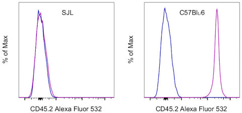 CD45.2 Monoclonal Antibody (104), Alexa Fluor 532, eBioscience