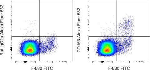 CD163 Monoclonal Antibody (TNKUPJ), Alexa Fluor 532, eBioscience