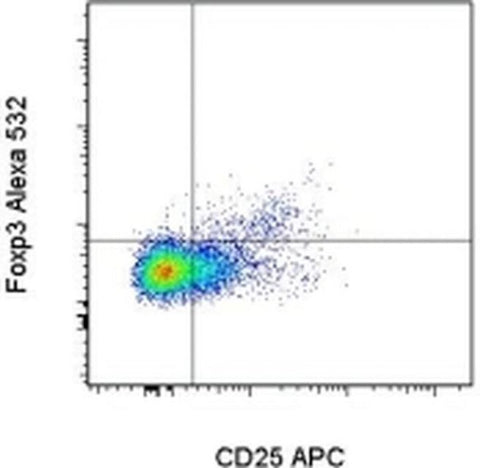 FOXP3 Monoclonal Antibody (PCH101), Alexa Fluor 532, eBioscience