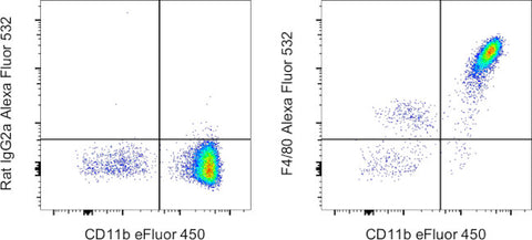 F4/80 Monoclonal Antibody (BM8), Alexa Fluor 532, eBioscience