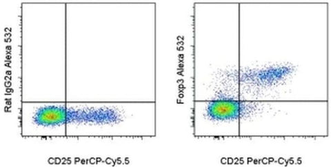 FOXP3 Monoclonal Antibody (FJK-16s), Alexa Fluor 532, eBioscience