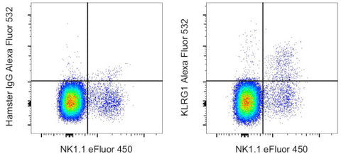 KLRG1 Monoclonal Antibody (2F1), Alexa Fluor 532, eBioscience