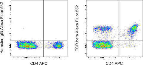 TCR beta Monoclonal Antibody (H57-597), Alexa Fluor 532, eBioscience