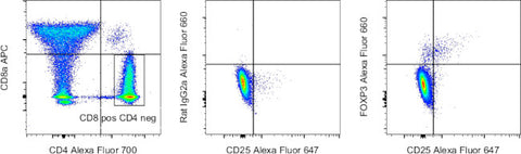 FOXP3 Monoclonal Antibody (PCH101), Alexa Fluor 660, eBioscience