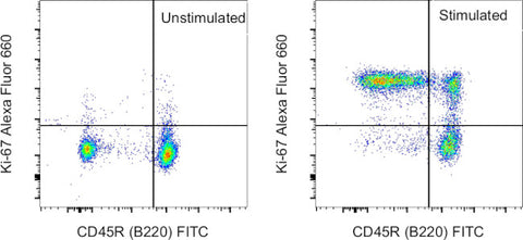 Ki-67 Monoclonal Antibody (SolA15), Alexa Fluor 660, eBioscience