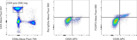 FOXP3 Monoclonal Antibody (FJK-16s), Alexa Fluor 660, eBioscience