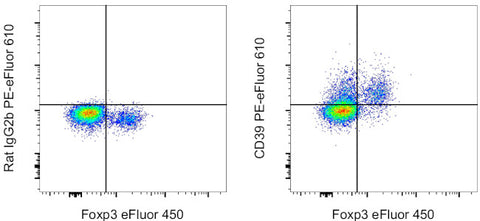 CD39 Monoclonal Antibody (24DMS1), PE-eFluor 610, eBioscience