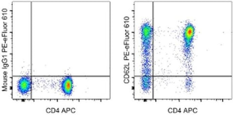 CD62L (L-Selectin) Monoclonal Antibody (DREG-56 (DREG56)), PE-eFluor 610, eBioscience