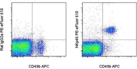 CD335 (NKp46) Monoclonal Antibody (29A1.4), PE-eFluor 610, eBioscience