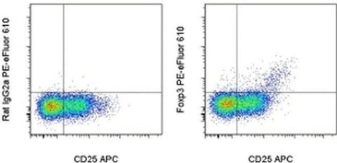 FOXP3 Monoclonal Antibody (PCH101), PE-eFluor 610, eBioscience