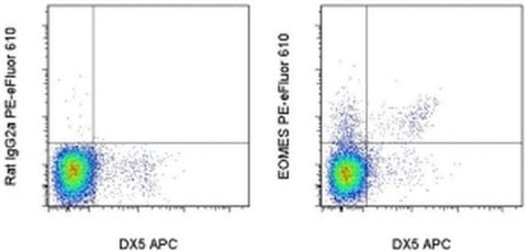 EOMES Monoclonal Antibody (Dan11mag), PE-eFluor 610, eBioscience
