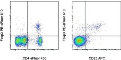 FOXP3 Monoclonal Antibody (FJK-16s), PE-eFluor 610, eBioscience