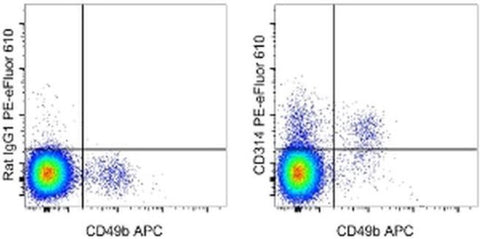 CD314 (NKG2D) Monoclonal Antibody (CX5), PE-eFluor 610, eBioscience