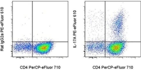 IL-17A Monoclonal Antibody (eBio17B7), PE-eFluor 610, eBioscience