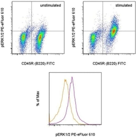 Phospho-ERK1/2 (Thr202, Tyr204) Monoclonal Antibody (MILAN8R), PE-eFluor 610, eBioscience