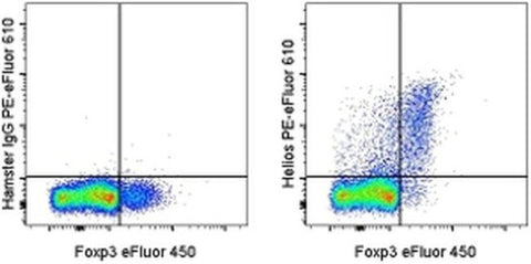 HELIOS Monoclonal Antibody (22F6), PE-eFluor 610, eBioscience
