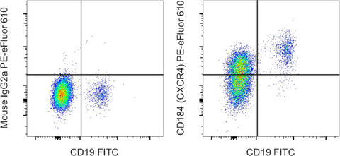 CD184 (CXCR4) Monoclonal Antibody (12G5), PE-eFluor 610, eBioscience