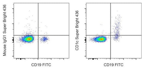 CD1c Monoclonal Antibody (L161), Super Bright™ 436