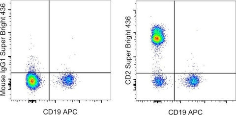 CD2 Monoclonal Antibody (RPA-2.10), Super Bright 436, eBioscience