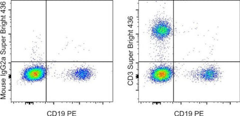 CD3 Monoclonal Antibody (OKT3), Super Bright 436, eBioscience