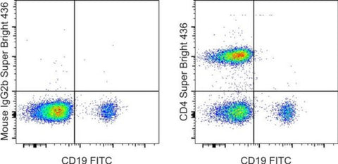 CD4 Monoclonal Antibody (OKT4 (OKT-4)), Super Bright 436, eBioscience