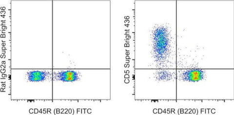 CD5 Monoclonal Antibody (53-7.3), Super Bright 436, eBioscience
