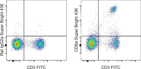 CD8a Monoclonal Antibody (53-6.7), Super Bright 436, eBioscience