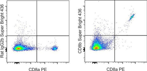 CD8b Monoclonal Antibody (eBioH35-17.2 (H35-17.2)), Super Bright 436, eBioscience