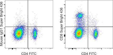 CD8a Monoclonal Antibody (OX8), Super Bright 436, eBioscience