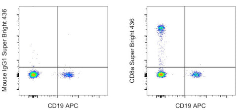 CD8a Monoclonal Antibody (HIT8a), Super Bright 436, eBioscience