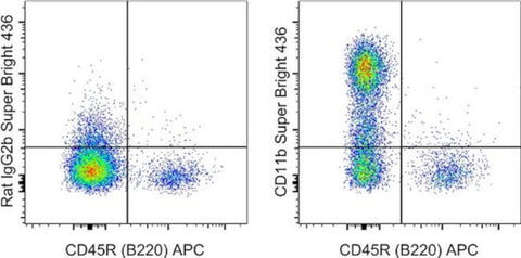 CD11b Monoclonal Antibody (M1/70), Super Bright 436, eBioscience