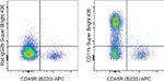 CD11b Monoclonal Antibody (M1/70), Super Bright™ 436